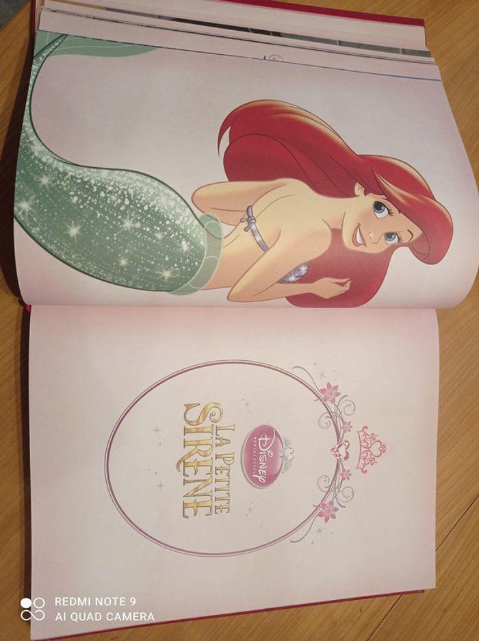 Livre princesses disney - photo numéro 5