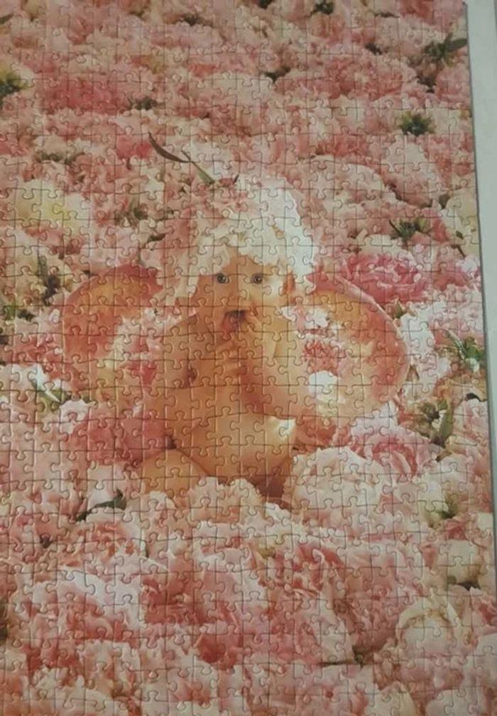 Puzzle  400 pièces  Anne Geddes - photo numéro 2