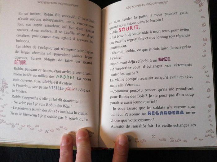 Livre - photo numéro 3