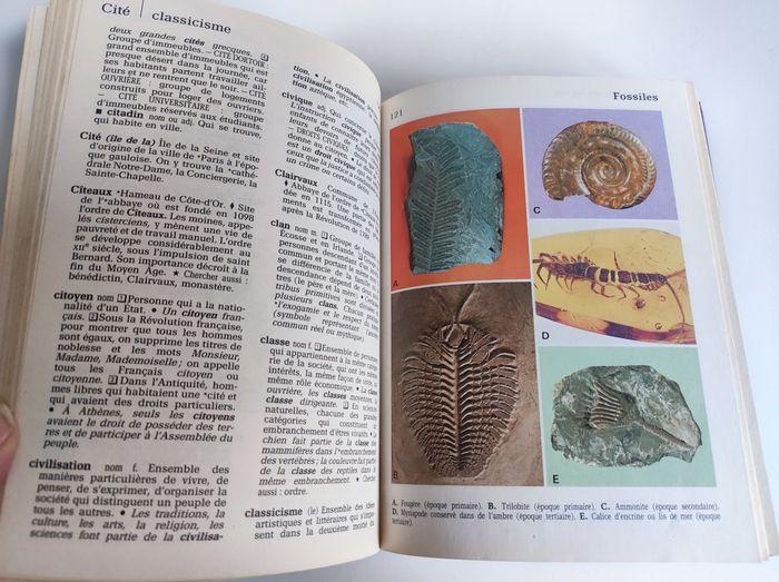 Dictionnaire encyclopedie juniors  / Hachette 1986 - photo numéro 5