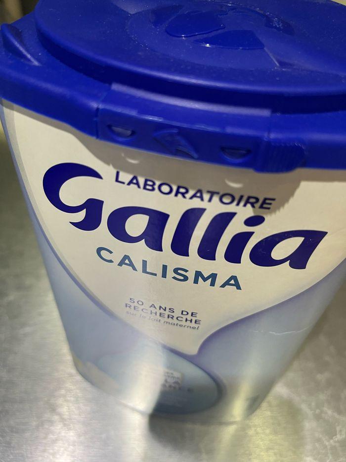 Gallia calisma - photo numéro 3