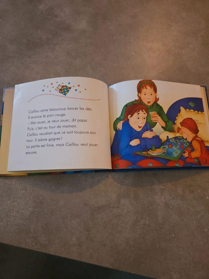 Livre enfant caillou Bonne nuit ! - photo numéro 3