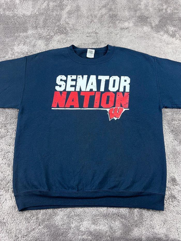 👕 Sweat à capuche Veste University Rare Vintage y2k 90s 2000s Senator Nation Bleu Marine Taille L 👕 - photo numéro 6