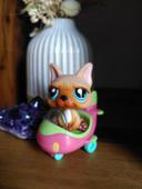 Chien Littlest PetShop #1847