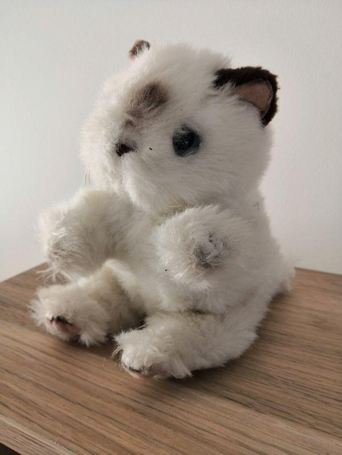 Peluche petit chat - photo numéro 3