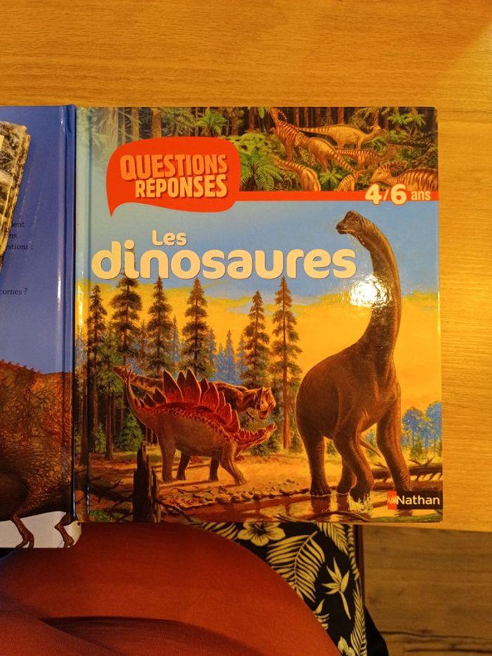 Livres sur les dinosaures - photo numéro 9