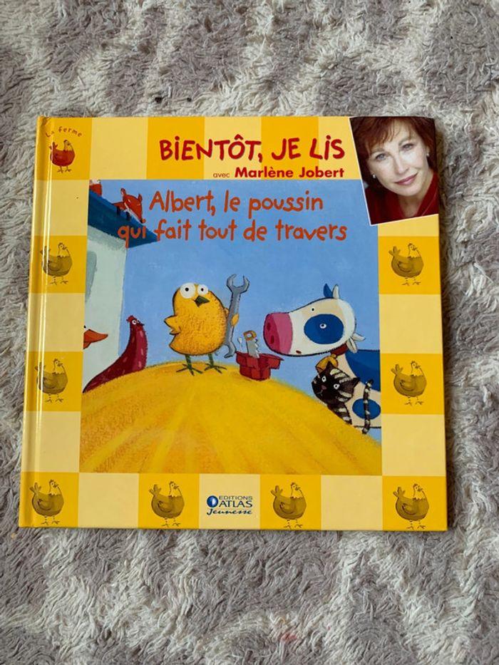 Livre «  Albert, le poussin qui fait tout de travers » - photo numéro 1