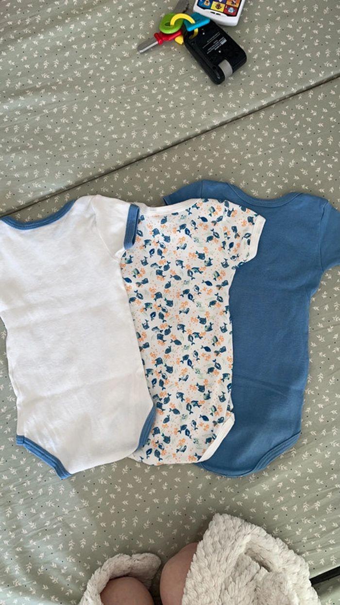 Lot 3 bodies Petit bateau 9 mois - photo numéro 5