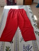 Pantalon/pantacourt