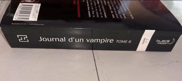 Lots livres le journal d’un vampire - photo numéro 15