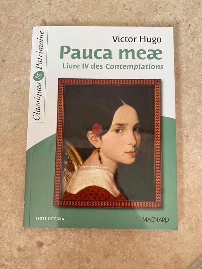 Pauca meae - photo numéro 1