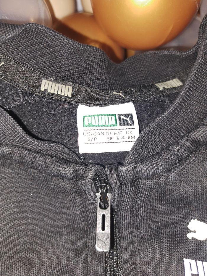 Veste puma - photo numéro 2