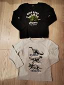 Lot 2 t-shirt manches longues Dinosaures