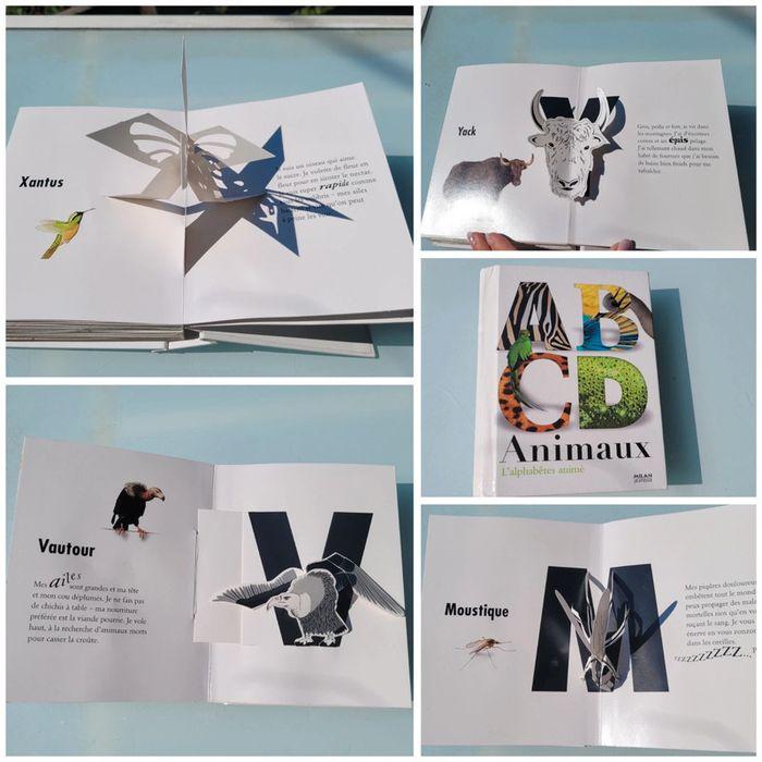 Magnifique livre pop-up A B C D animaux 🐘 l'alphabêtes animé - photo numéro 1