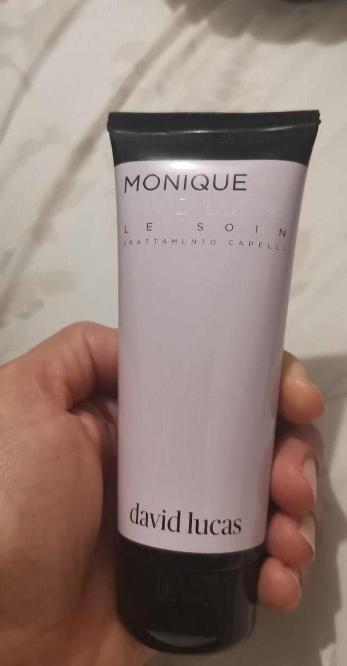 Soin crème  cheveux Monique by David Lucas sans rinçage  100ml - photo numéro 2