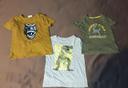 Lot de 3 t-shirts dinosaures