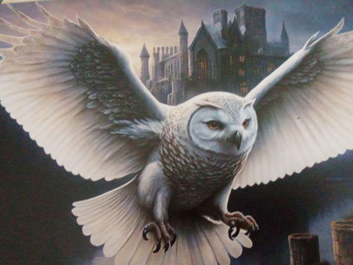 Plaque métal  hibou Edwige de Harry Potter - photo numéro 2