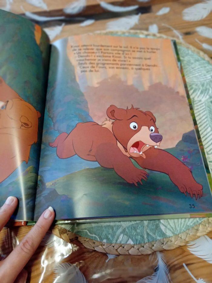 Livre frère des ours Disney - photo numéro 2