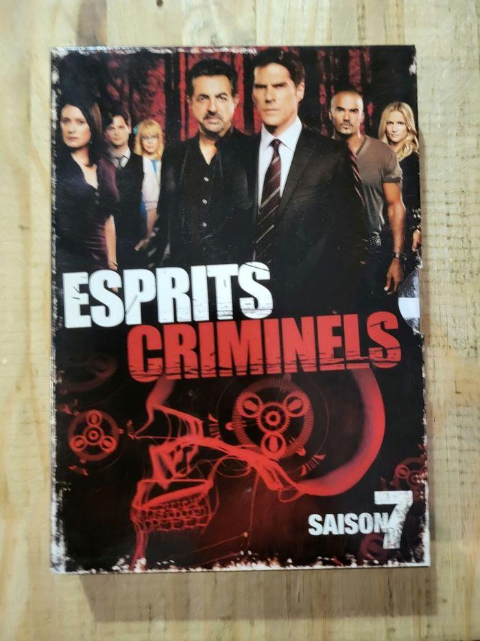 Esprits criminels dvd - photo numéro 8