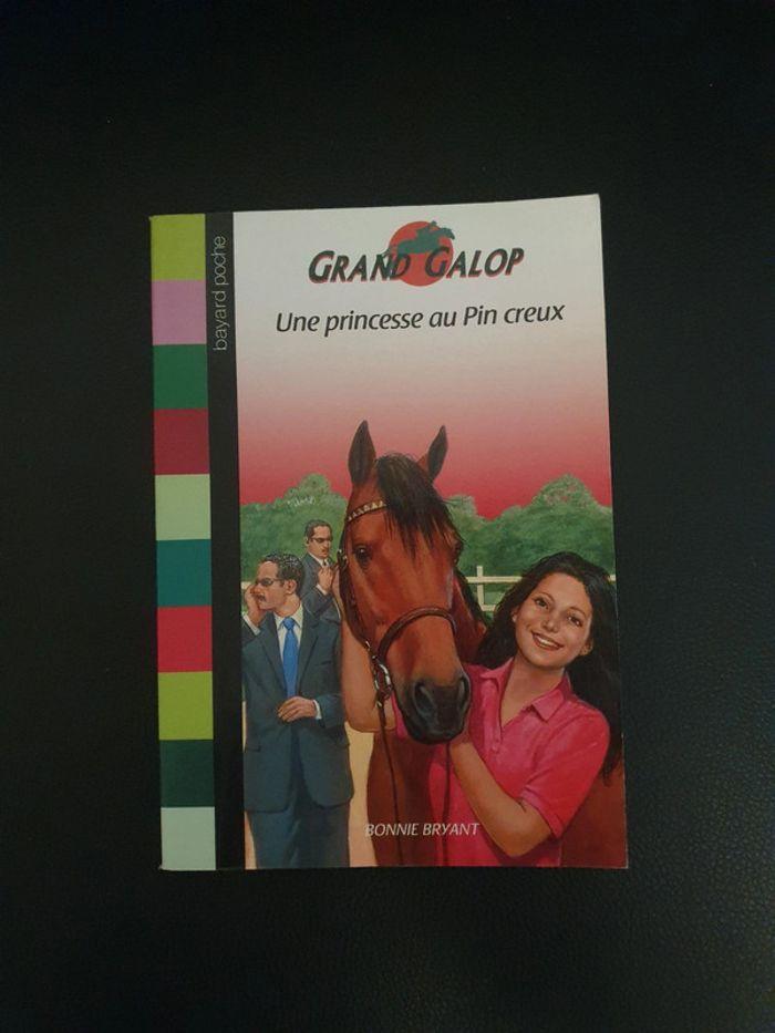 Lot 10 livres chevaux grand galop - photo numéro 18