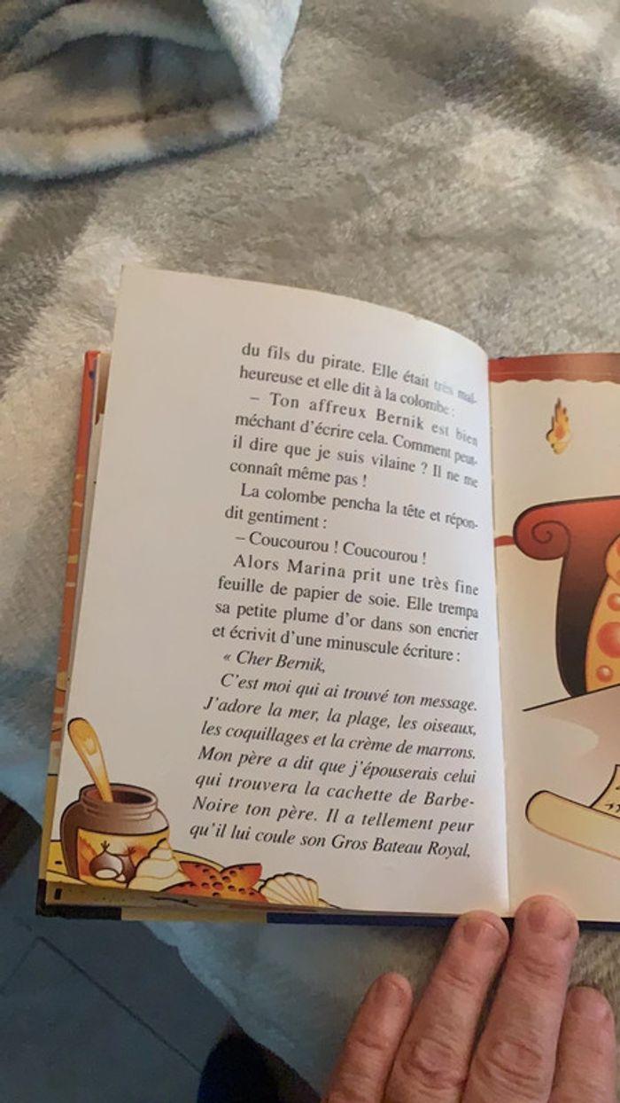 Livre le fils du pirate - photo numéro 4