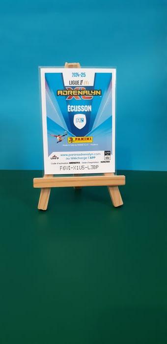 Carte panini Adrenalyn XL logo RCSA - photo numéro 2