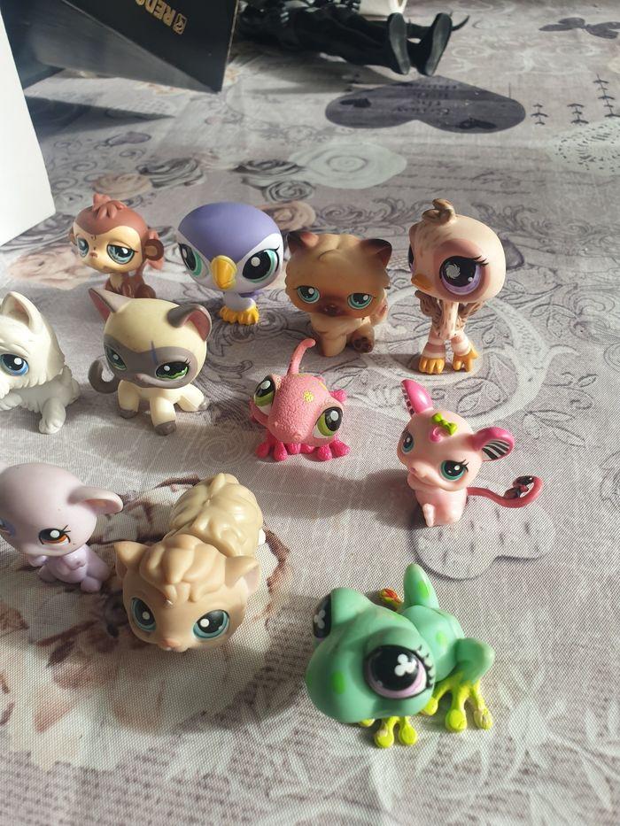 My little petshop - photo numéro 4