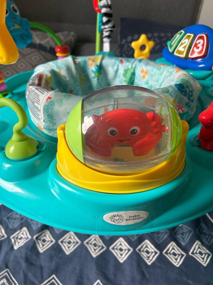 Aire  de jeux baby Einstein - photo numéro 6