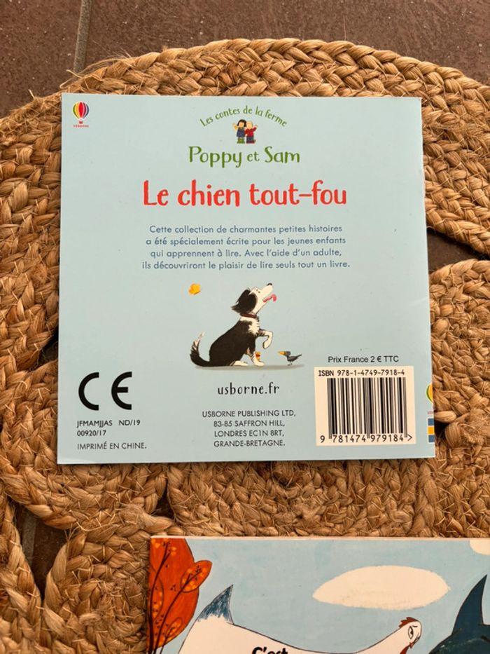 Lot 2 livres le chien tout fou et c’est encore la faute du loup - photo numéro 2