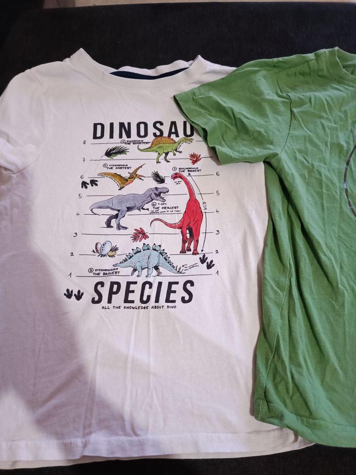 Lot t shirt dinosaure - photo numéro 3