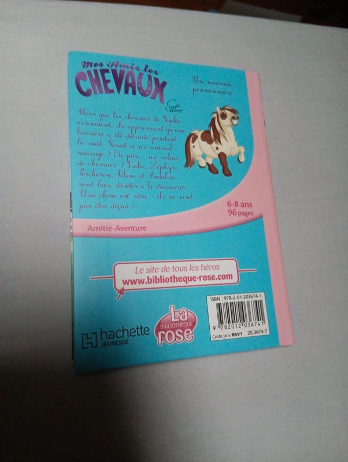 Livre mes amis les chevaux - photo numéro 2