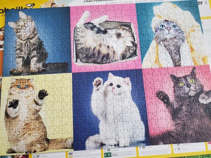 Puzzle 500 pieces - photo numéro 2