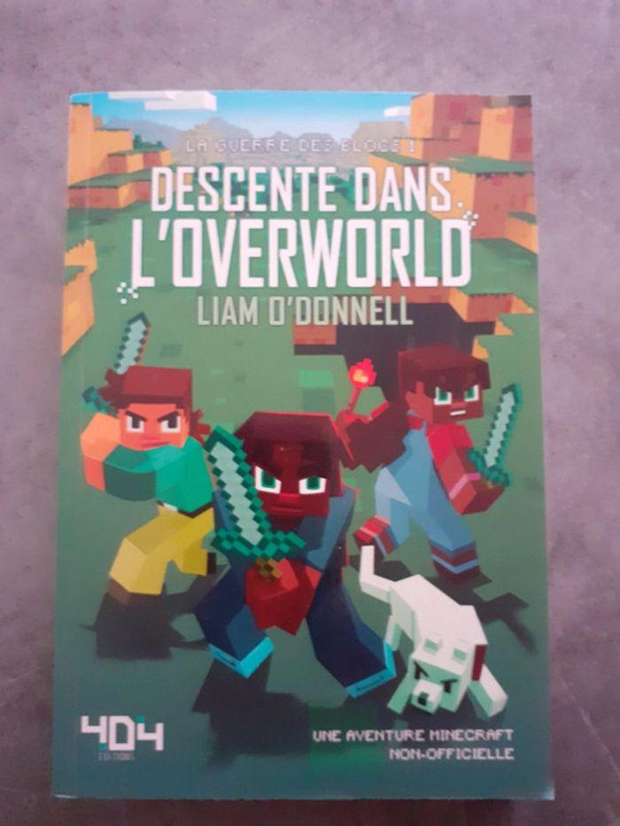 Descente dans l ' Overworld - photo numéro 1