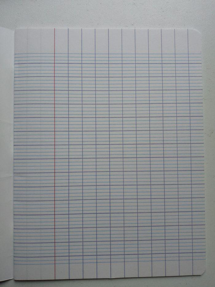 Lot 2 cahier d'écriture + guide doigt - photo numéro 3