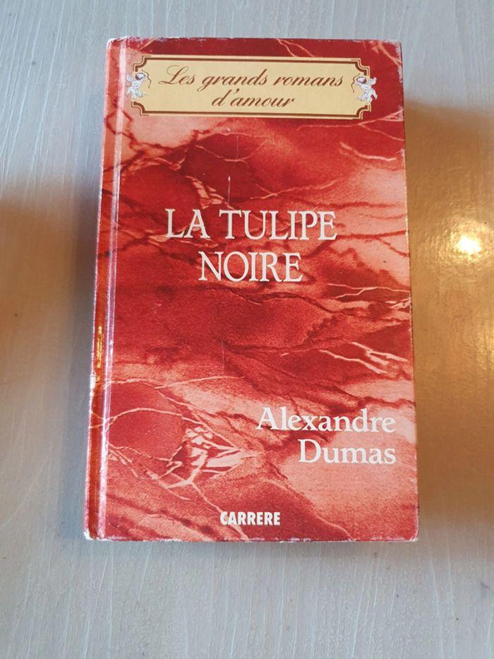 Alexandre Dumas - La tulipe noire - photo numéro 1