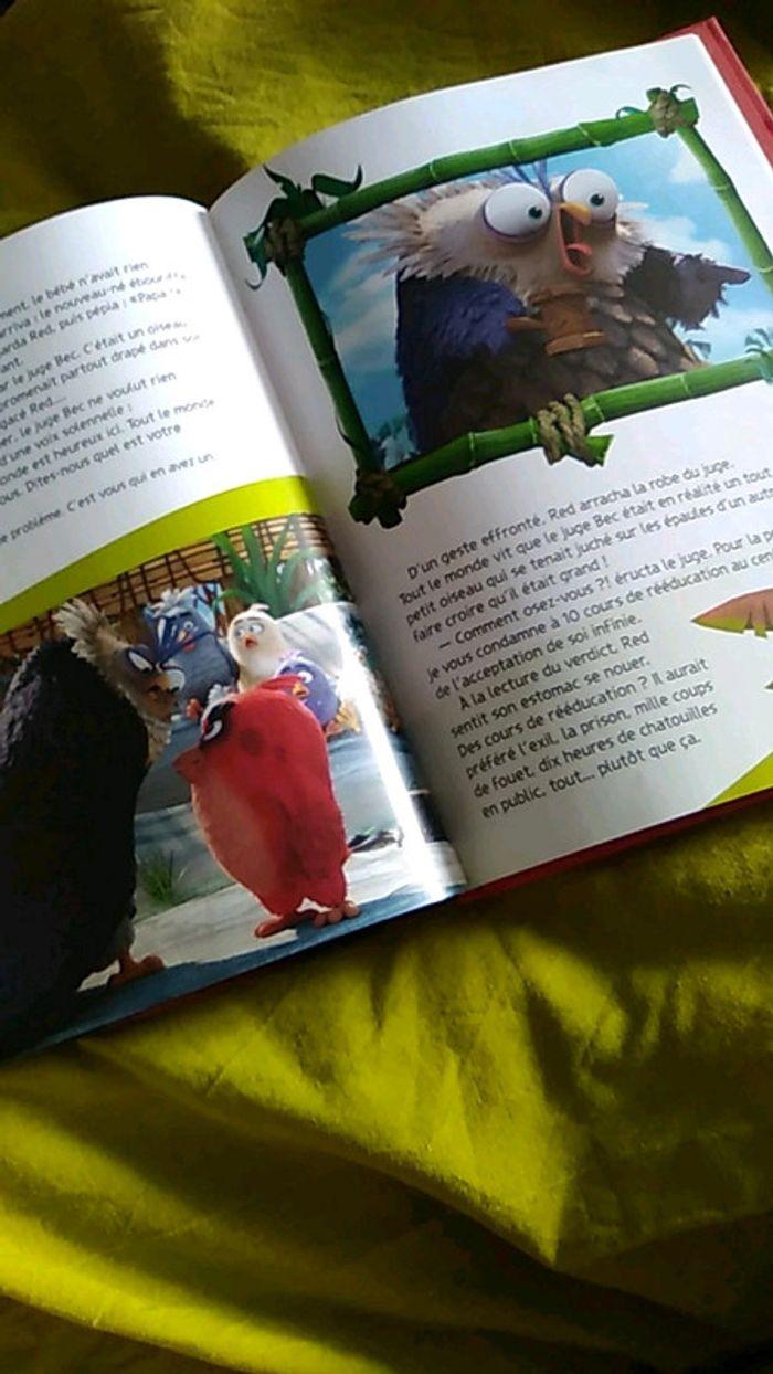 Livre Angry Birds - photo numéro 3