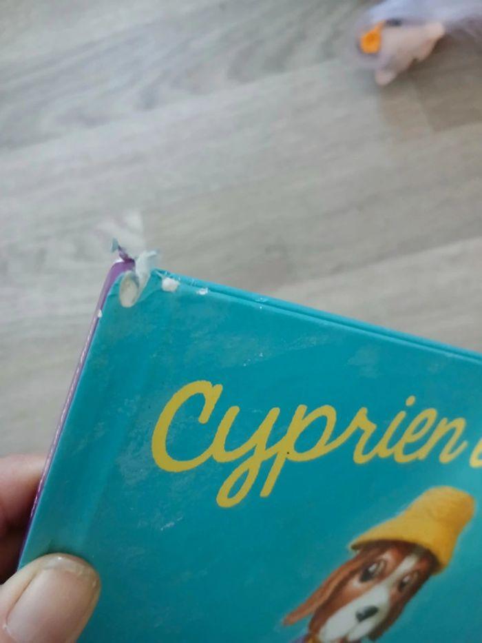 Livre enfants : Cyprien le chien - photo numéro 3