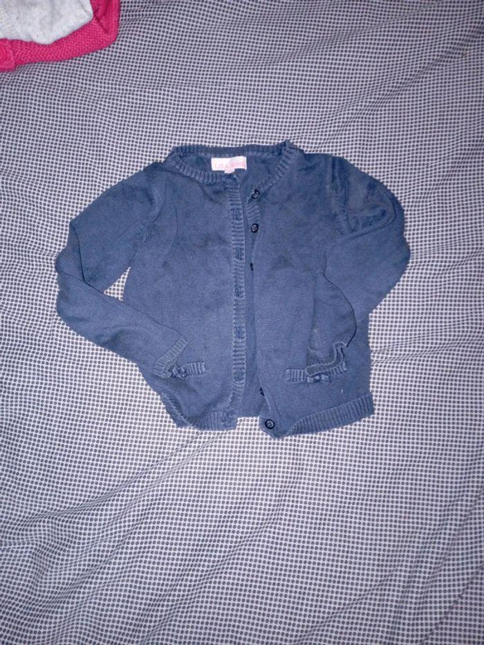 Lot vestes fille taille 3 ans - photo numéro 3