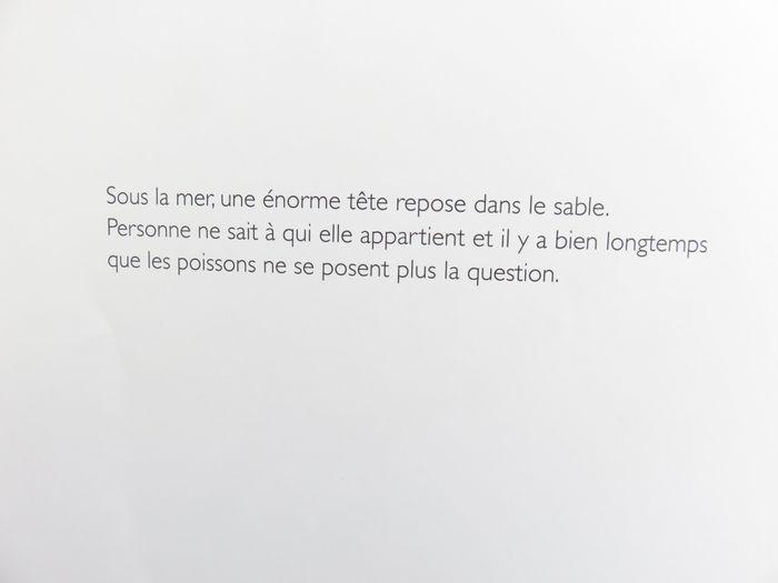 Album 6 à 8 ans : Capitaine Maman. (Magali Arnal - L'école des loisirs) - photo numéro 3