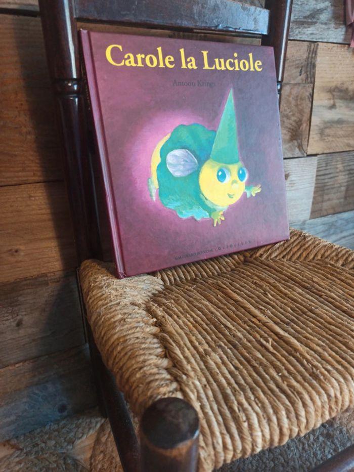 Livre drôles de petites bêtes Carole la luciole tbe - photo numéro 3