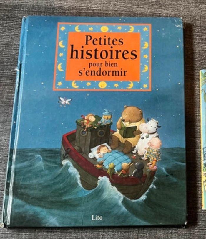 Livre histoire du soir - photo numéro 1