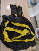 Robe cancan