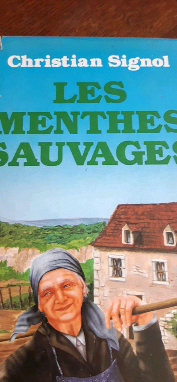 Les menthes sauvages - photo numéro 2