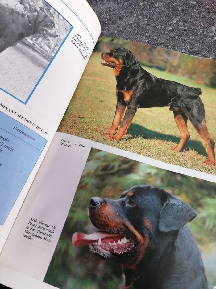 Livre Le Rottweiler - photo numéro 2