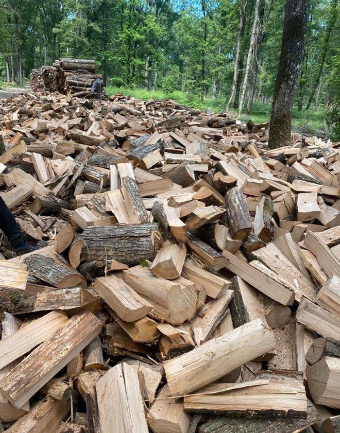 Bois de chauffage bien dure et sec/2 ans de séchage - photo numéro 2