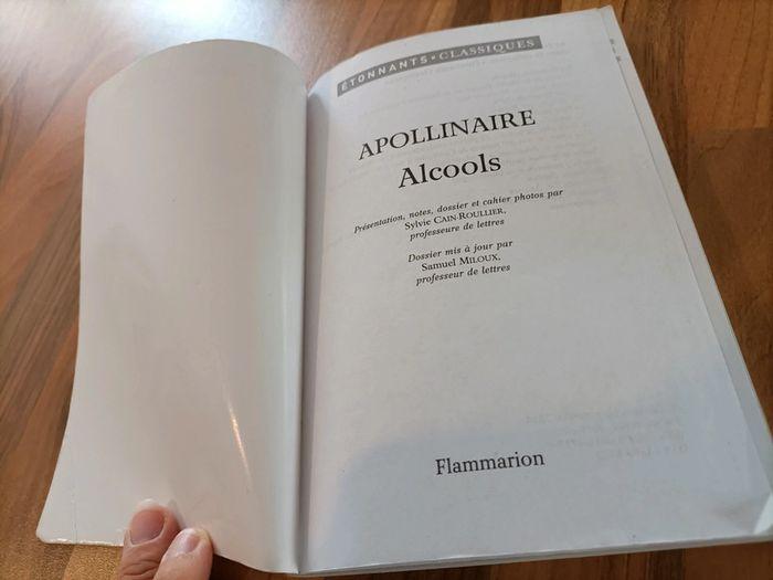 Livre Alcools d'Apollinaire Bac français 📚 - photo numéro 4