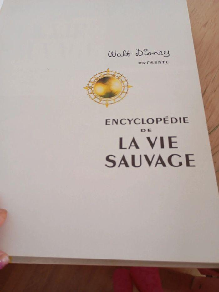 Walt Disney encyclopédie - photo numéro 4