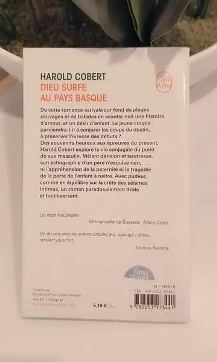 Livre Dieu Surfe Au Pays Basque - harold cobert en tres bon etat - photo numéro 2