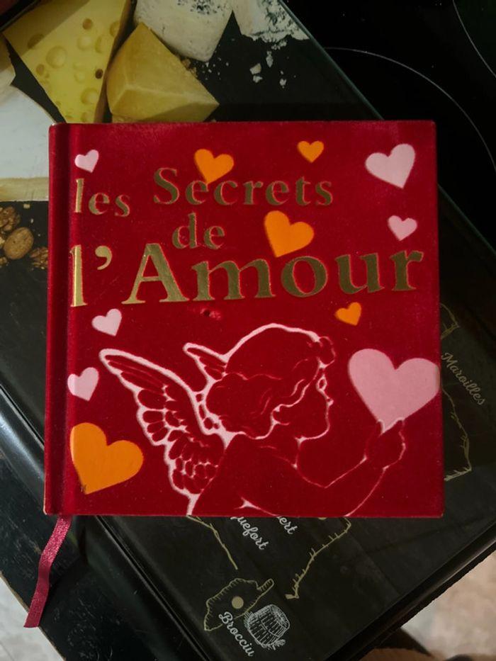 Livre Les secrets de l’amour - photo numéro 1