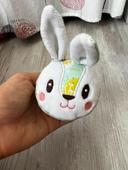 Petit jeu lapin